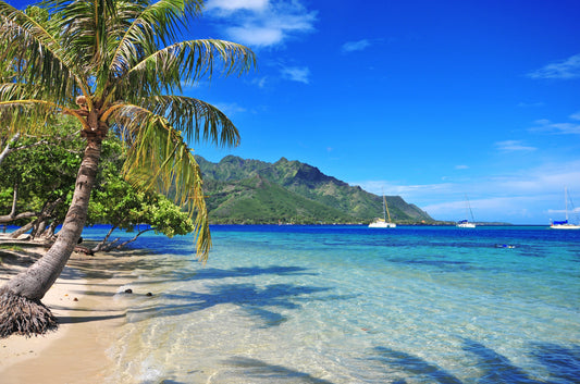 We Could Go to Tahiti: Why We Choose Legacy Over Easy Living