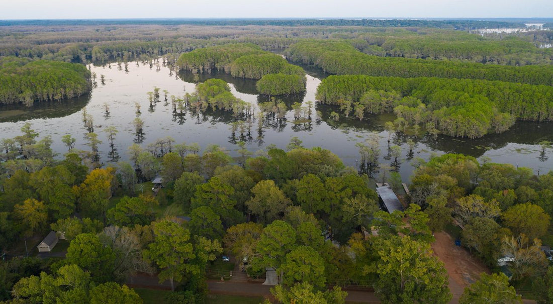 Featured Article: Making History with Texas Water Trust