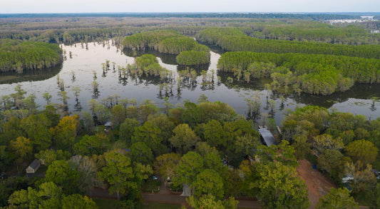 Featured Article: Making History with Texas Water Trust