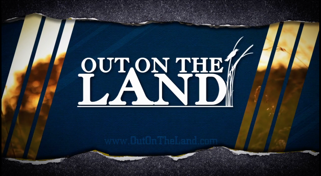 Featured Video: See Our Paddlefish Project in Action