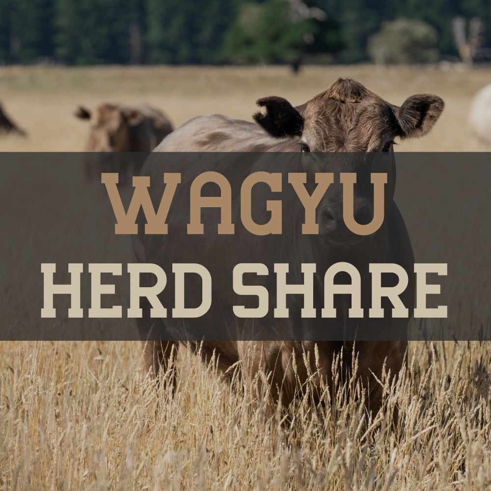 Wagyu Herd Share Deposit
